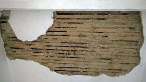 WP_20150901_14_15_53_Pro