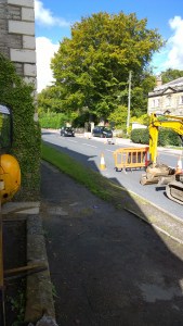 WP_20150922_11_21_39_Pro