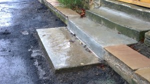 WP_20151121_10_46_19_Pro