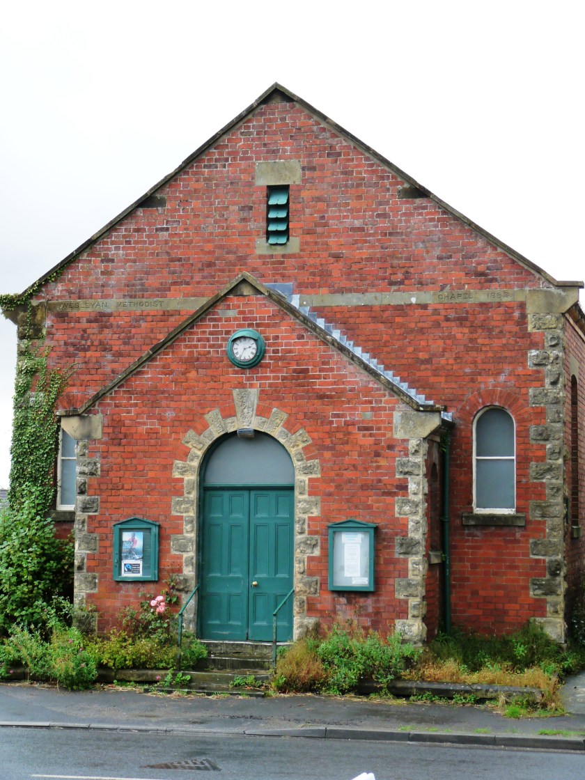 49458520513_dfc6f62db0_o